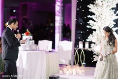Indian groom giving his speech at reception party. Indian groom giving his speech at reception party.