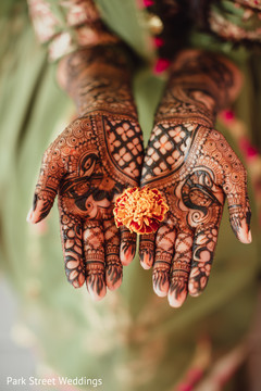 Indian bride's design. Indian bride's design.