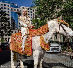 Elegant Indian groom riding baraat white horse. Elegant Indian groom riding baraat white horse.