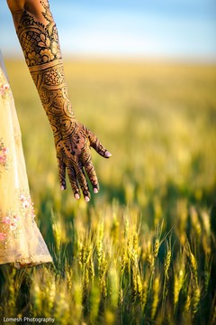 Indian bride wearing the mehndi. Indian bride wearing the mehndi.