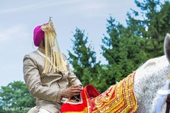 Incredible Indian groom riding his white baraat horse. Incredible Indian groom riding his white baraat horse.