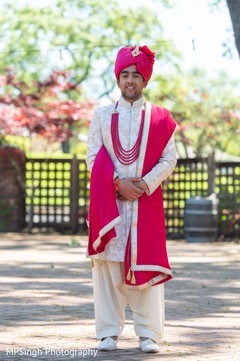 Raja looking magnificent. Raja looking magnificent.