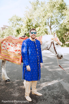 Indian groom with white baraat horse. Indian groom with white baraat horse.