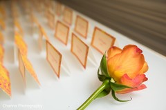 Lovely Indian rose decoration. Lovely Indian rose decoration.