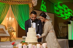 Indian couple cutting the wedding cake. Indian couple cutting the wedding cake.