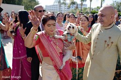 Indian groom's parents and pet. Indian groom's parents and pet.