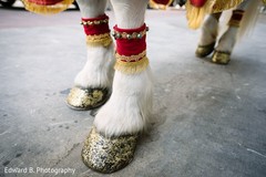 Decoration of baraat's horse. Decoration of baraat's horse.