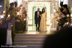 Lovely Indian couple and guests. Lovely Indian couple and guests.