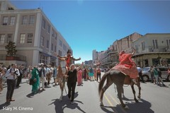 Indian groom riding baraat horse Indian groom riding baraat horse