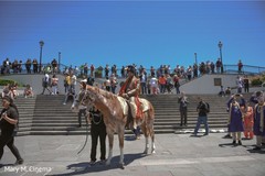 Elegant Indian groom riding baraat brown horse Elegant Indian groom riding baraat brown horse