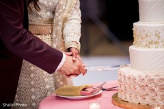 Indian wedding reception cutting the cake moment. Indian wedding reception cutting the cake moment.