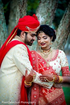 Adorable Indian lovebirds first look Adorable Indian lovebirds first look