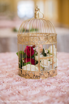 Wonderful bird cage decoration. Wonderful bird cage decoration.