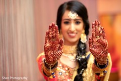 Impressive Indian bridal mehndi art. Impressive Indian bridal mehndi art.