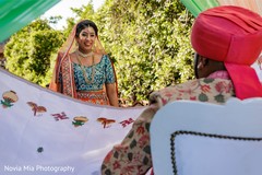 Indian lovebirds looking at each other. Indian lovebirds looking at each other.