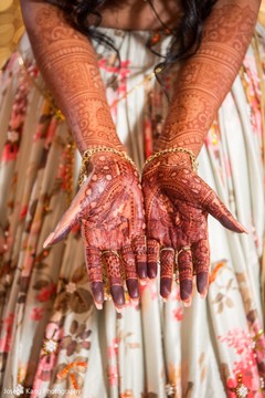 Gorgeous Maharani showing her mehndi. Gorgeous Maharani showing her mehndi.