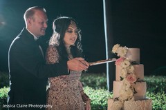 Indian wedding reception cutting the cake moment. Indian wedding reception cutting the cake moment.