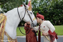 Maharaja with his white baraat horse. Maharaja with his white baraat horse.