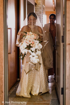 photo #258652 photo #258652