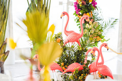 Indian wedding Flamingos and flowers decorations. Indian wedding Flamingos and flowers decorations.