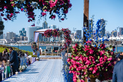 Indian wedding ceremony red, blue and white flowers decorations.