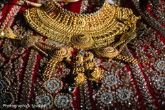 Embroidery and jewelry design of the bridal saree. Embroidery and jewelry design of the bridal saree.