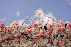 White flowers peach roses and peach flowers decorations for mandap. White flowers peach roses and peach flowers decorations for mandap.