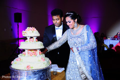 Indian bride and Indian groom cutting the hindu wedding cake. Indian bride and Indian groom cutting the hindu wedding cake.