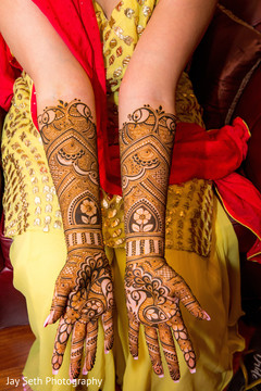 photo #259995 photo #259995