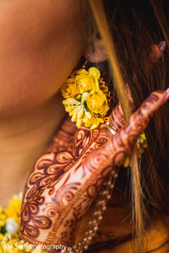 photo #259997 photo #259997