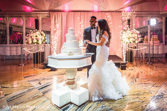 The newlyweds cutting the cake The newlyweds cutting the cake