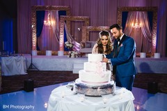 Indian newlyweds cutting the cake Indian newlyweds cutting the cake