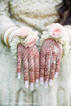 photo #262347 photo #262347