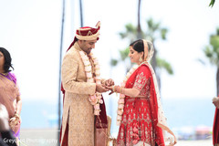 Indian groom putting ring on his Maharani's finger. Indian groom putting ring on his Maharani's finger.