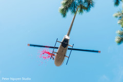 Flower petals being fling out of a chopper Flower petals being fling out of a chopper