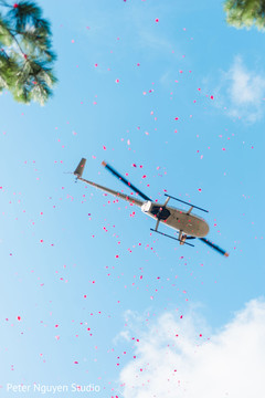 Flower petals falling off the sky Flower petals falling off the sky