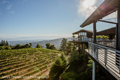 Overview of the Indian wedding venue. Overview of the Indian wedding venue.