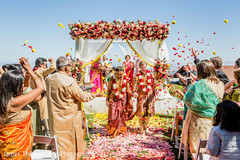 Guests throwing roses to the Indian newlyweds.