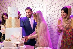 Indian newlywed couple cutting the wedding cake Indian newlywed couple cutting the wedding cake