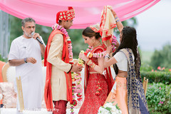 photo #265986 photo #265986