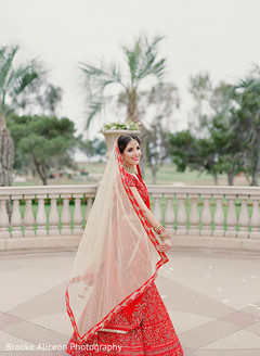 photo #266056 photo #266056