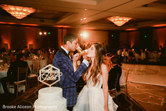 Indian couple making a toast during reception. Indian couple making a toast during reception.