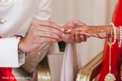 photo #266531 photo #266531