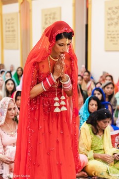 photo #266671 photo #266671