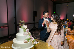 Ravishing indian couple at their reception toast. Ravishing indian couple at their reception toast.