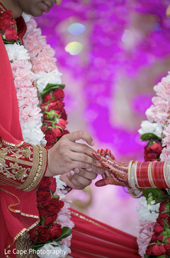 photo #267878 photo #267878