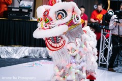 A white chineese dragon at indian wedding celebration. A white chineese dragon at indian wedding celebration.