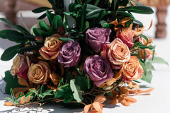 Coral and purple Indian wedding roses mandap decoration. Coral and purple Indian wedding roses mandap decoration.