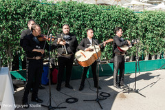 Indian wedding celebrations live music. Indian wedding celebrations live music.
