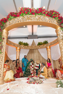 photo #268619 photo #268619